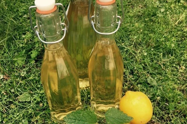 Zitronenmelisse-Sirup